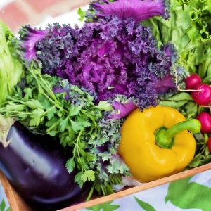 Vegetable Basket